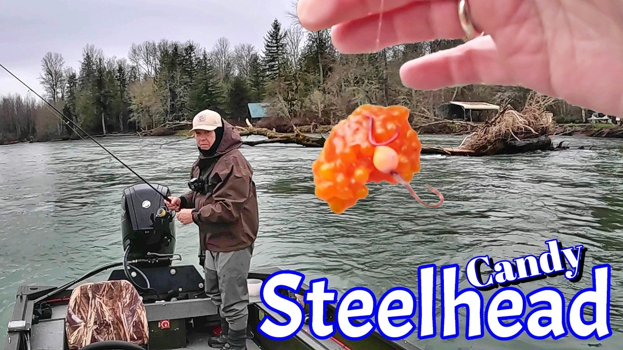 Cowlitz River Steelhead Fishing