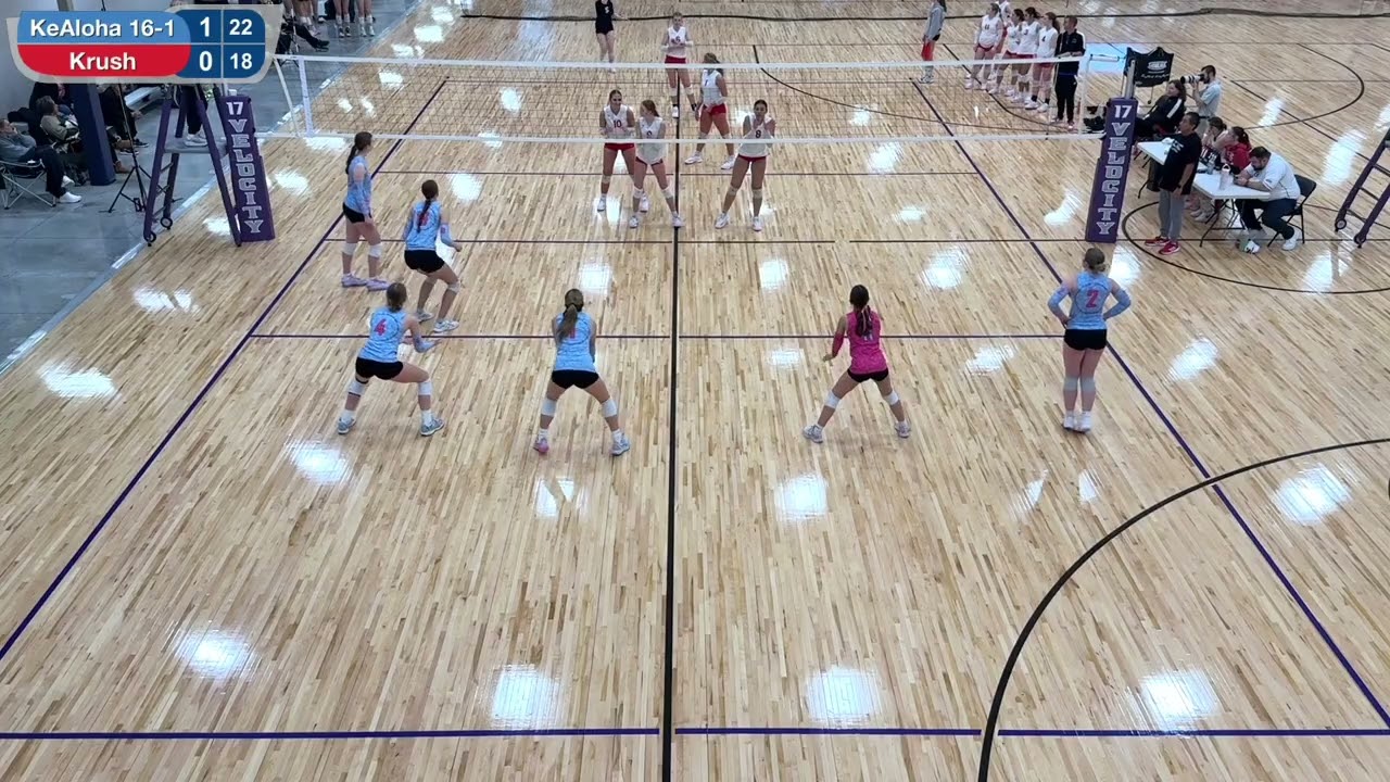 Ainsley Lincoln bash highlights