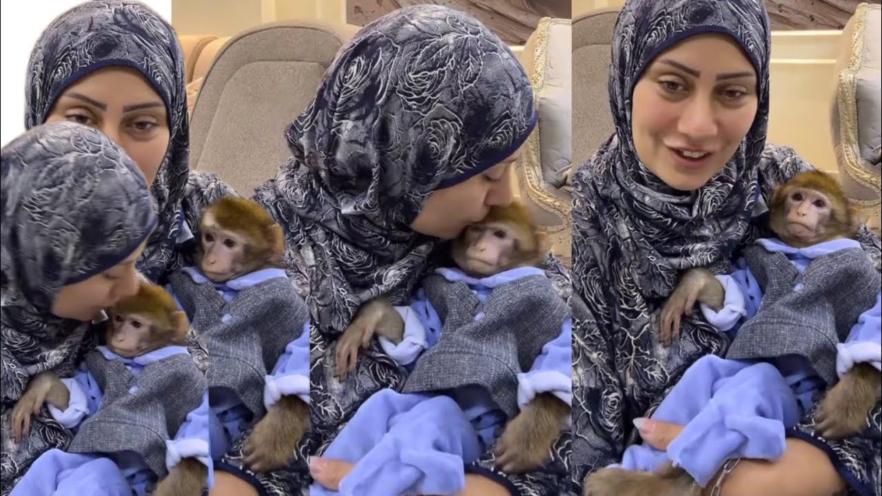 ام دونا اخذت القرد ده علشان اعتبرته عيل من عيالي وخلاص كتبته باسمي🥺بس رد فعل عيالي صدمني😱انا تعبت 😭