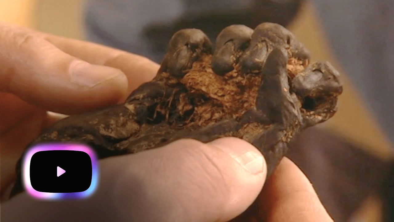 Archaeologists Uncover Mysterious Severed Hand In Ancient Grave | Tales Of The Living Dead S1 E12