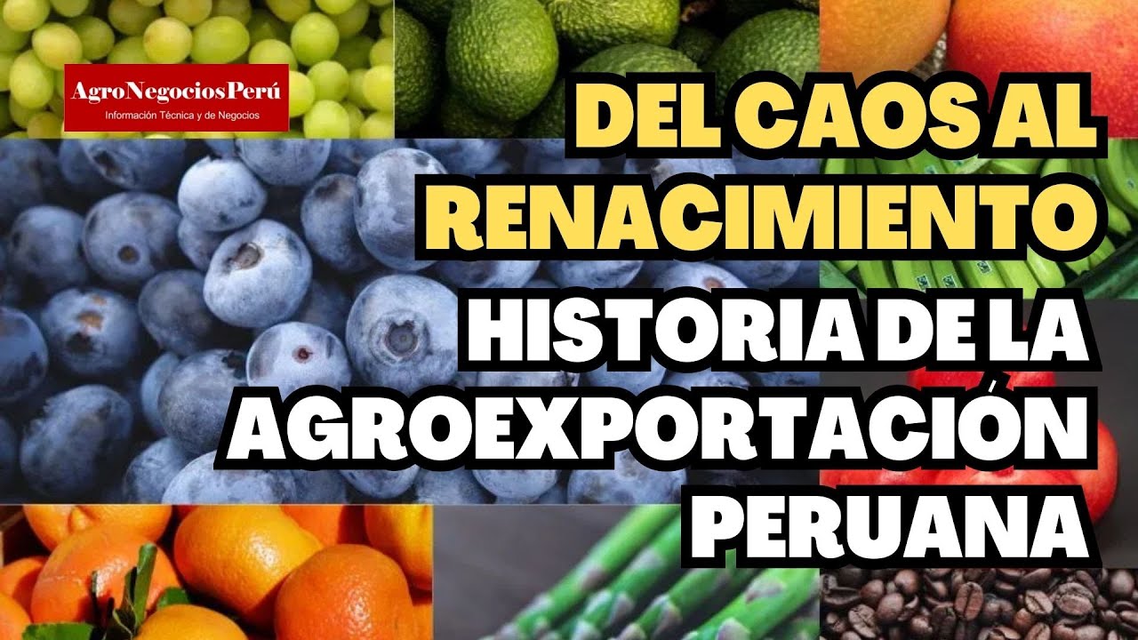 Del caos al renacimiento: la historia de éxito de la agroexportación peruana
