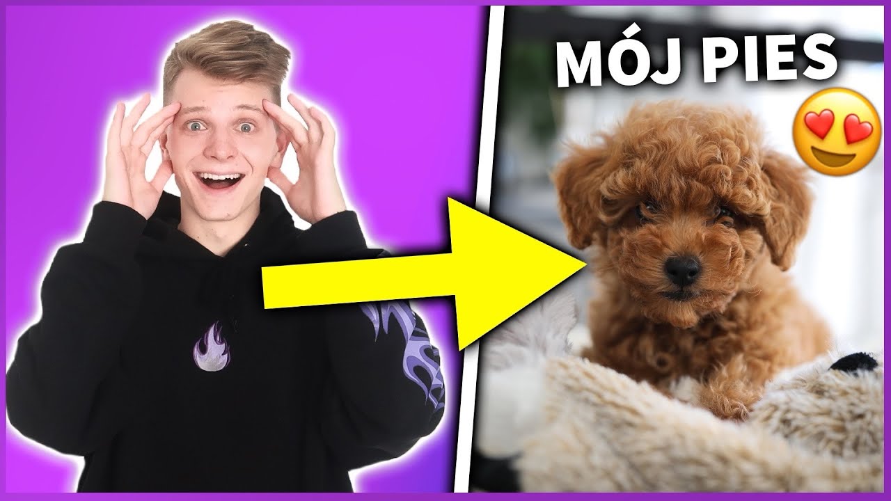 MAM PSA! 🐶 - NOWY CZŁONEK W RODZINIE😱 | Dominik Rupiński