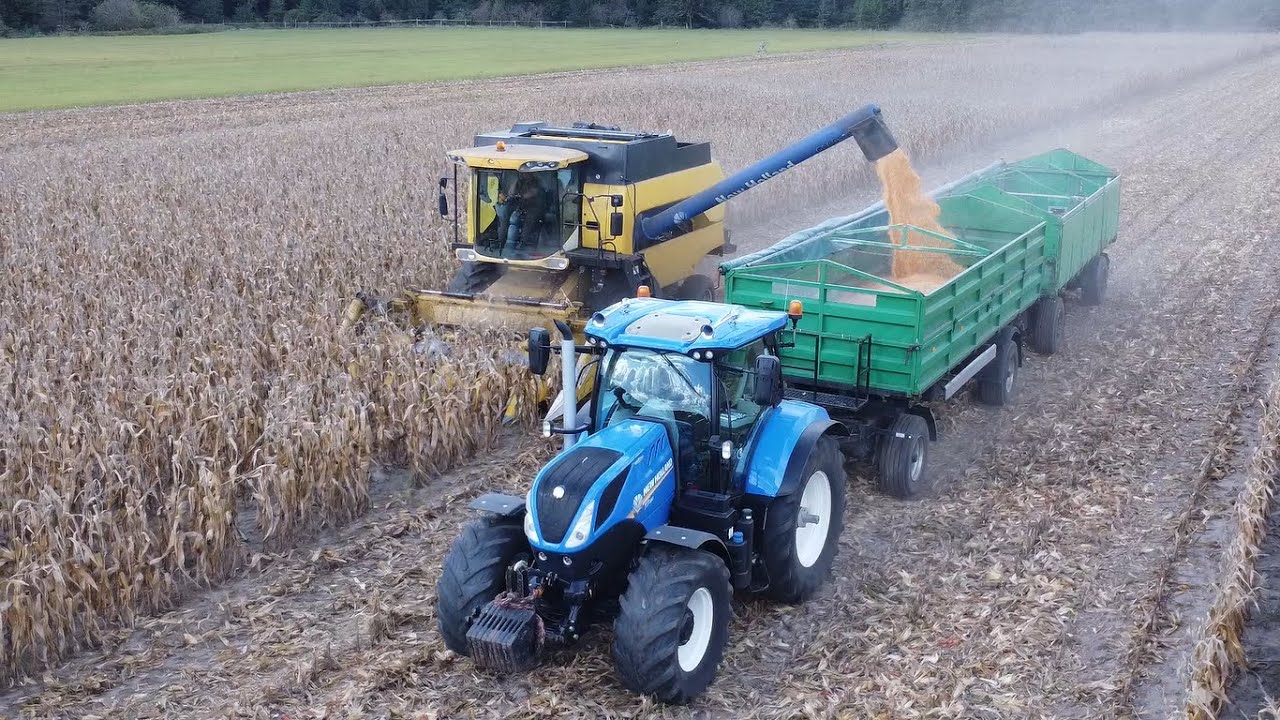 🌽Zbiór Kukurydzy Na Ziarno 2024 w GrBiliński💪Wtopa New Hollanda?!🔥3x New Holland Na Polu🔥