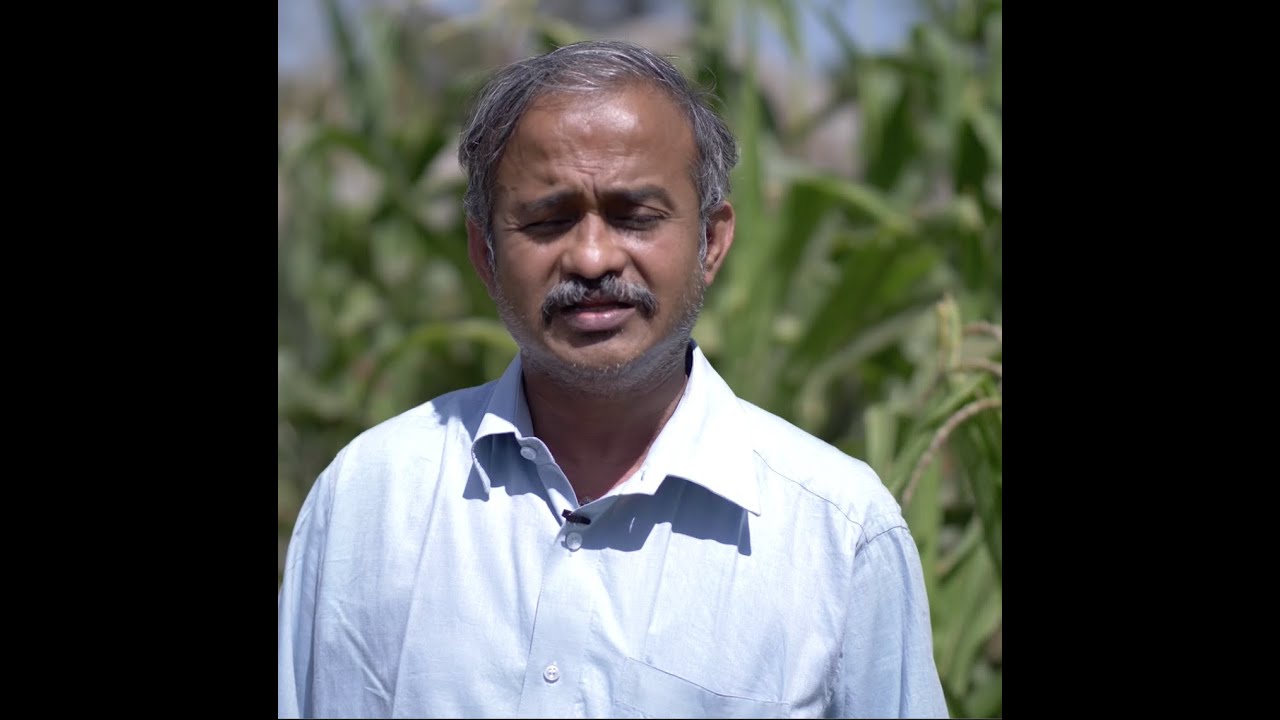 Episode 4: What is biological control  and how does it help in controlling the Fall armyworm?
