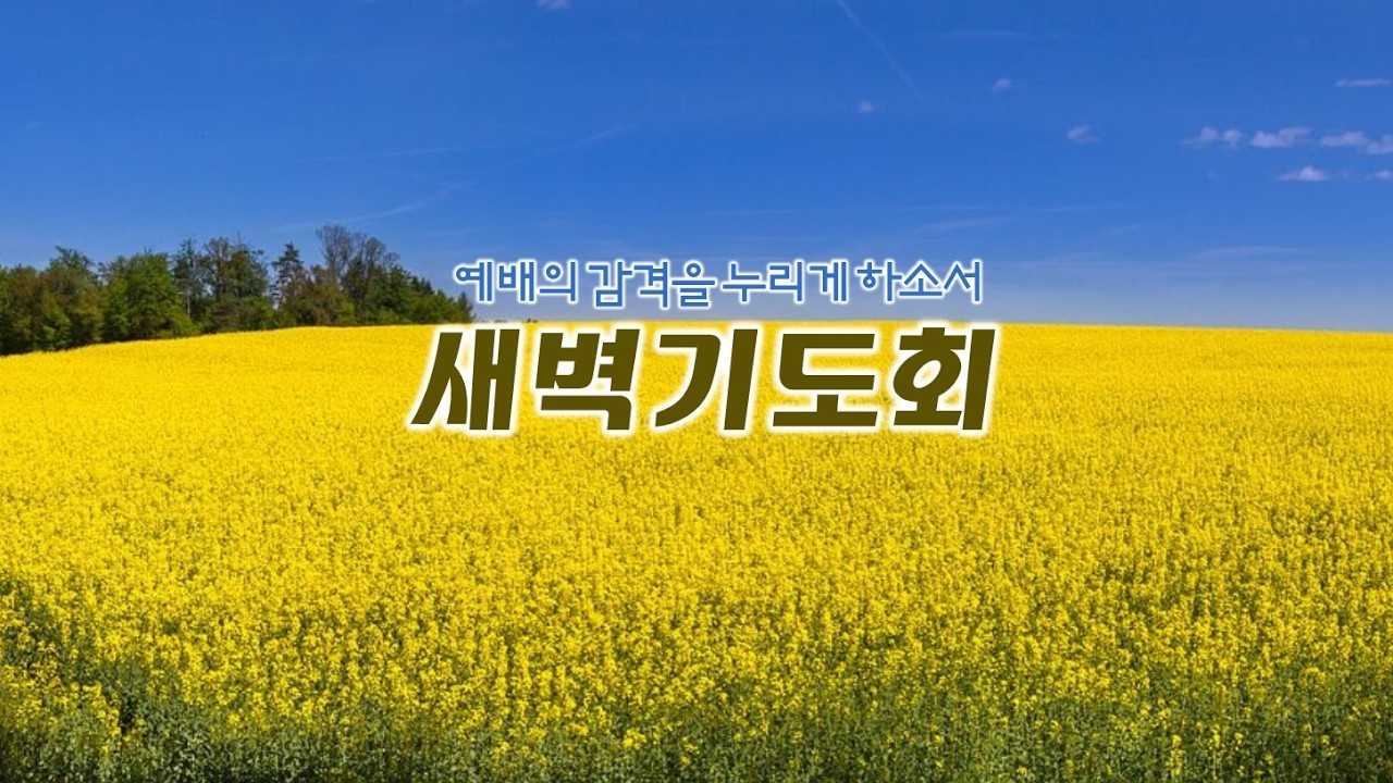 3월 19일 새벽기도회