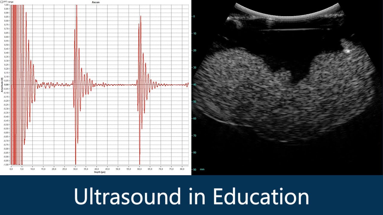 Ultrasound in Higher Education and Schools