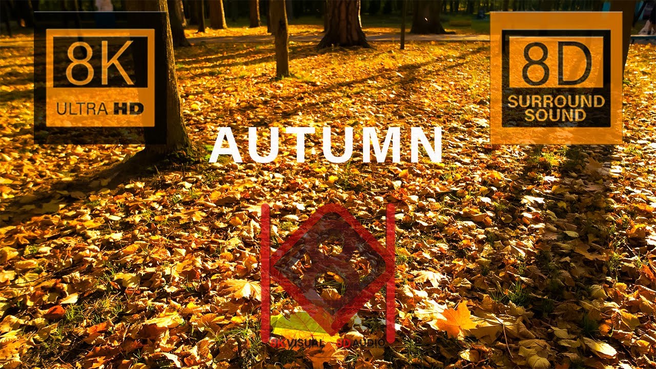 AUTUMN SEASON (Fall Foliage) in 8K Video Ultra HD with 8D Relaxing Music | 8K Visual 8D Audio