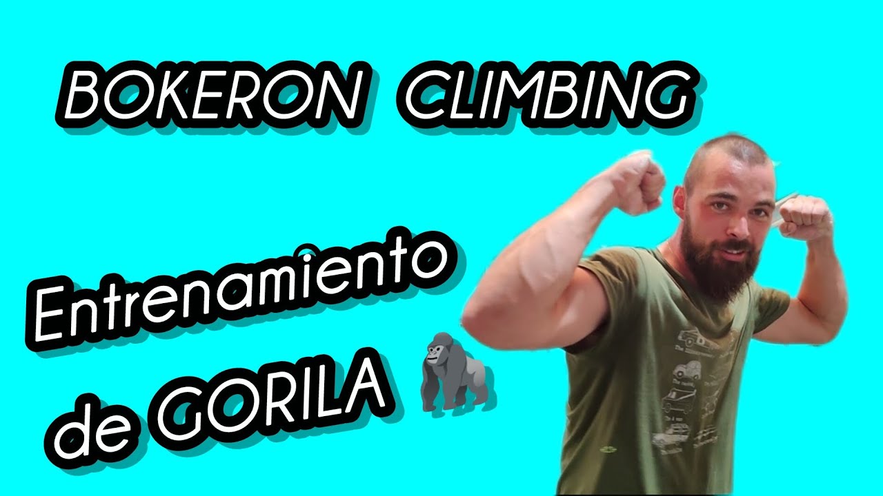 Un GORILA en un ROC&Oacute;DROMO🔥
