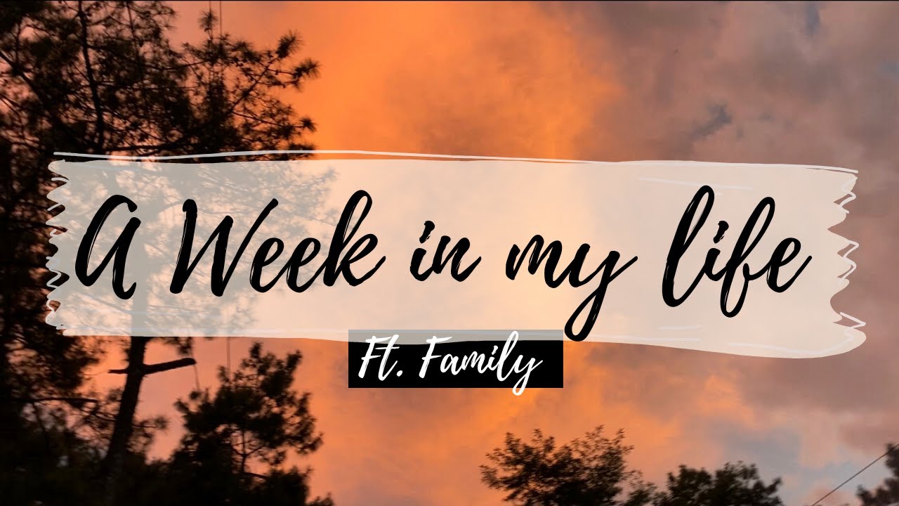 🙃 A week in my life Vlog || Study, Plan, Food, Family, Dogs, Sunset || CSE Aspirant Vlog||