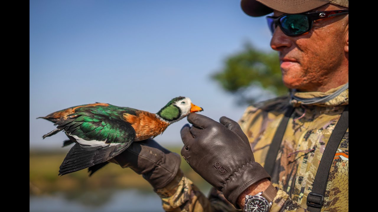 ЖИЗНЬ КОРОТКА: НАСТОЯЩЕЕ САФАРИ ПО ОХОТЕ НА ПТИЦУ В ЮЖНОЙ АФРИКЕ