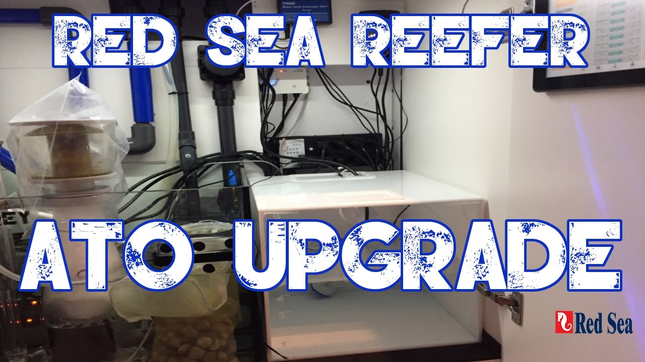 Red Sea Reefer 250 | Custom ATO Container | Blue Tide Acrylics | MORE WATERRRRRRR
