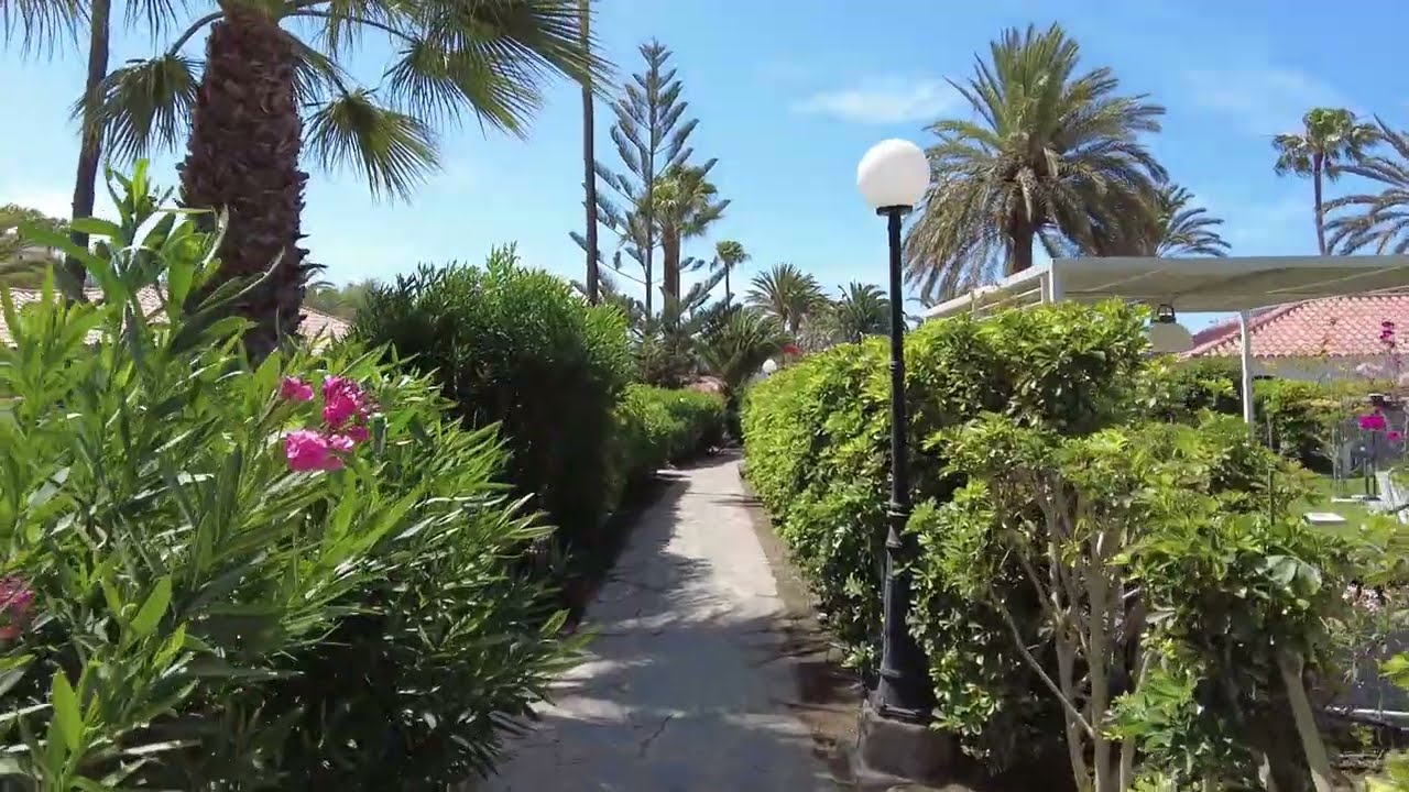 Harry unterwegs.....Gran Canaria.....unterwegs Sun Club Playa del Ingles im April 2023...