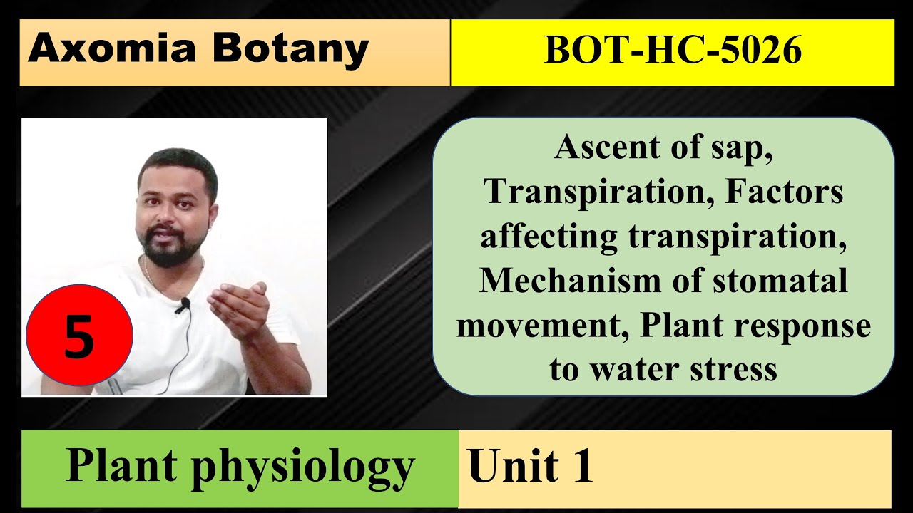 L5 Ascent of sap| Transpiration & more| Plant Physiology| Dr. Rajib Borah|Bsc. Botany| Axomia Botany