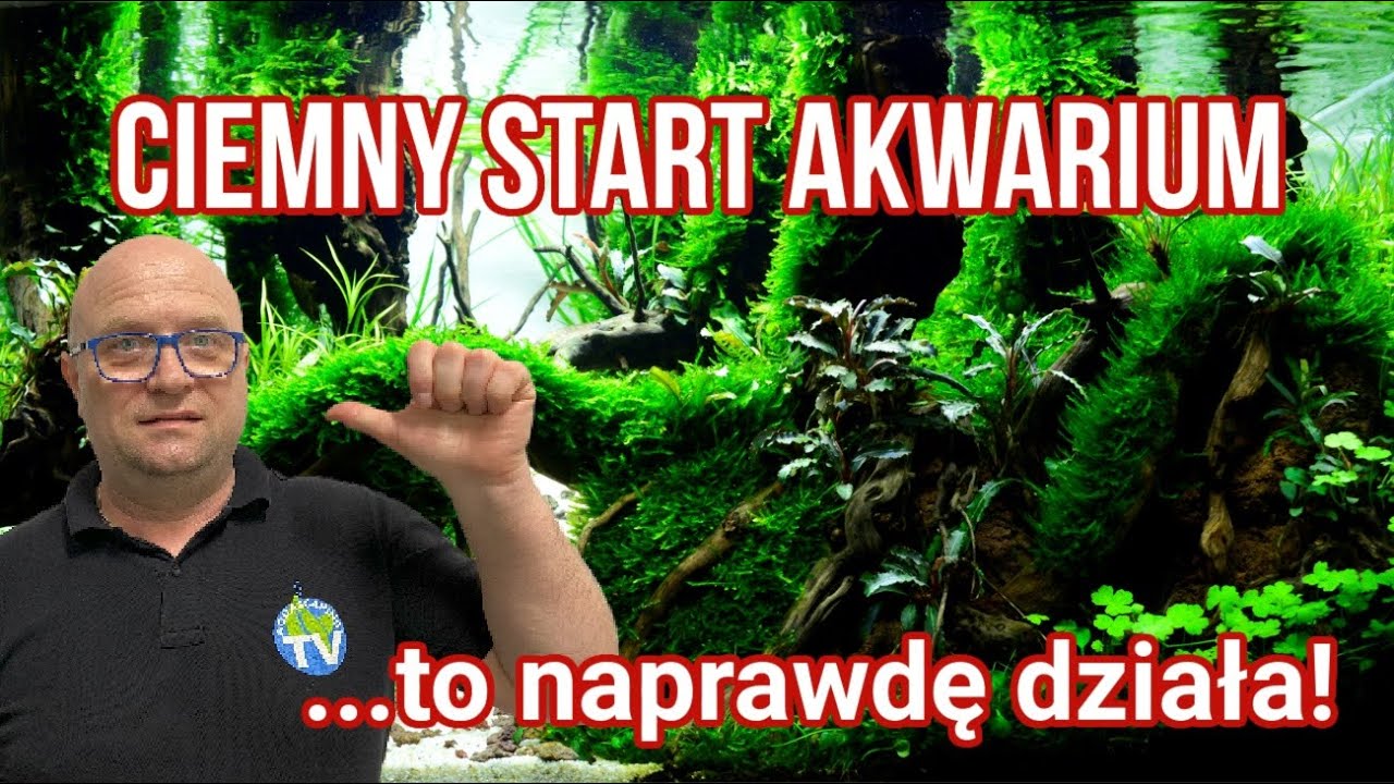 Ciemny Start Akwarium | Aktualizacja 96-litrowego Akwarium