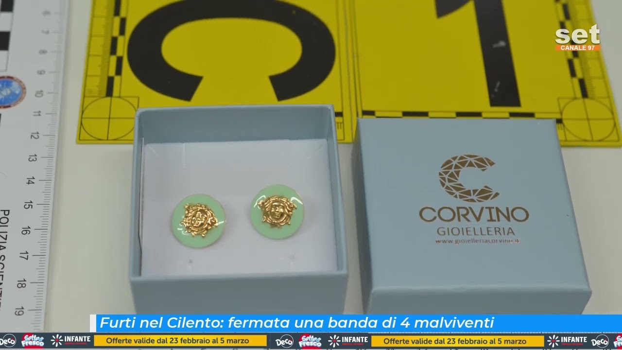 Furti nel Cilento: fermata una banda di 4 malviventi