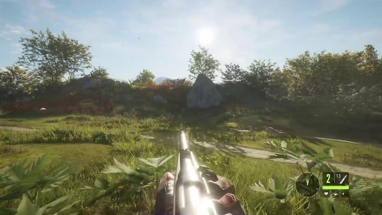 Hunter call of the wild