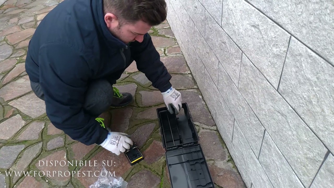 Nuova MasterBox Plus - erogatore multifunzione per Topi e Ratti.