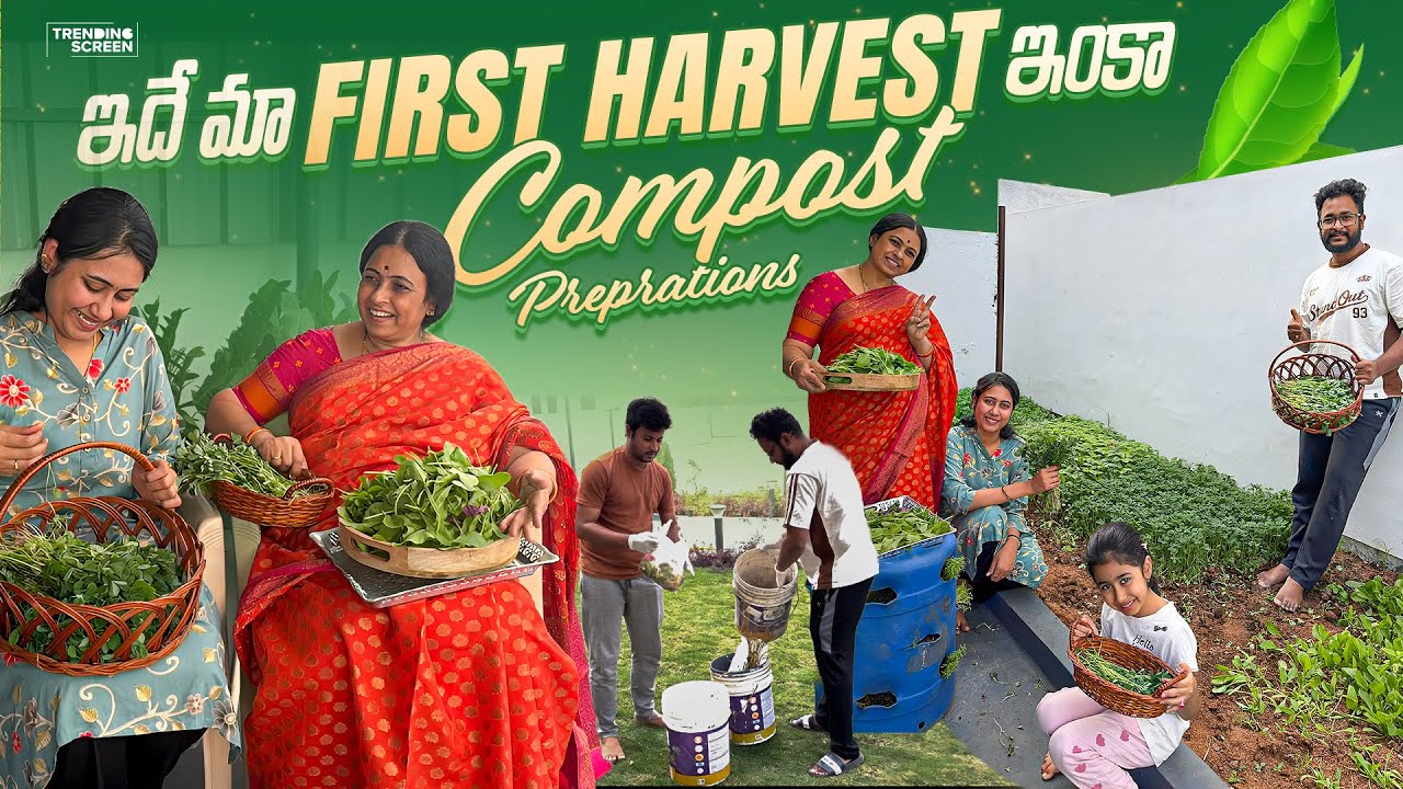 ఇదే మా First Harvest ఇంకా Compost Preprations 😍😍 | Challa’s | FamilyVlogs | Vegetable Gardening