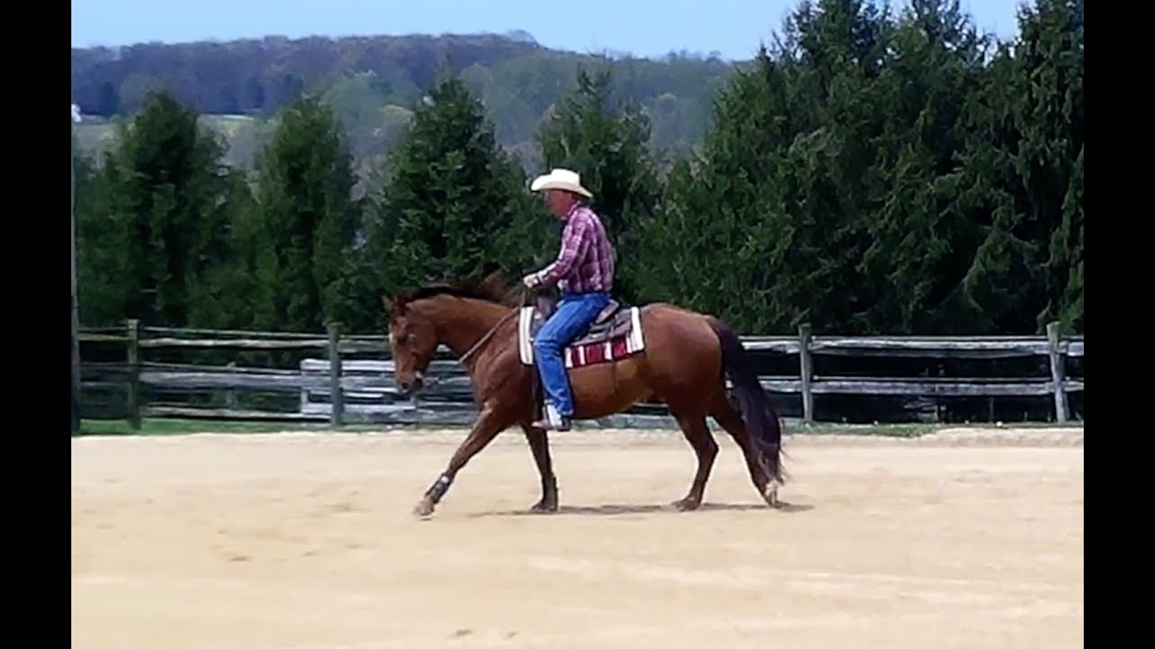 The First Basic of Horsemanship: Forward Motion - Episode 5 (Herm Gailey: A Lifetime with Horses)