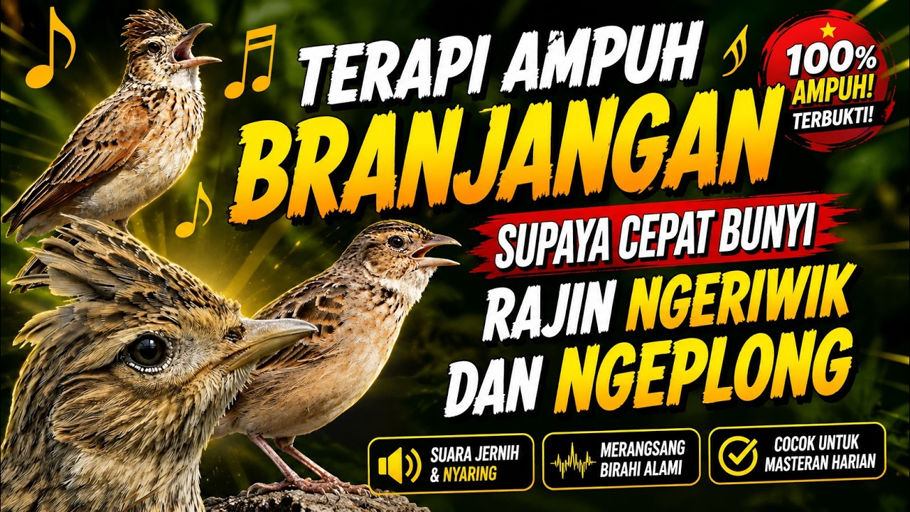 Terapi Ampuh Branjangan Supaya Cepat Bunyi Rajin Ngeriwik dan Ngeplong