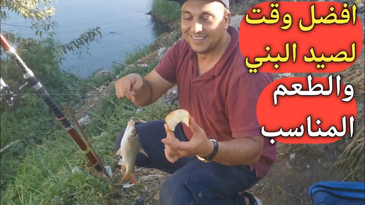 اقوي طعم لصيد البني|| واللى راح مش من رزقنا #fish   #hook_fishing