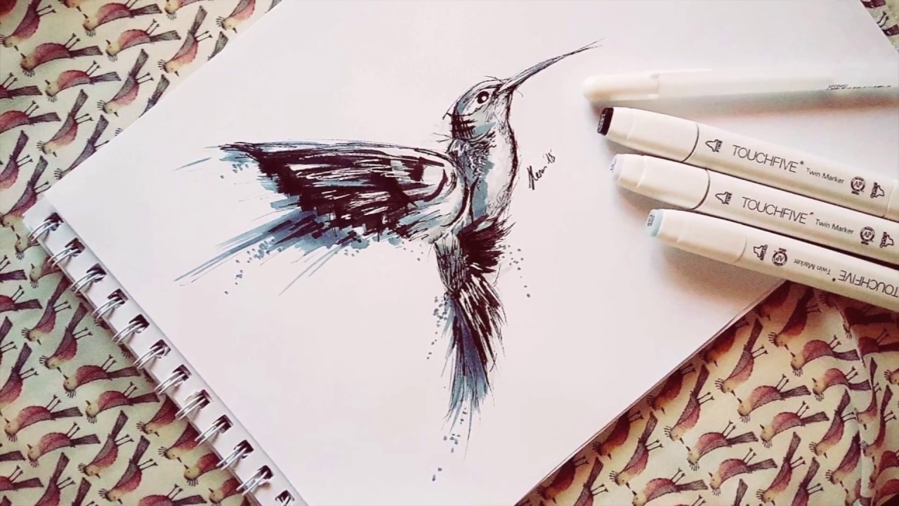 how to draw a hummingbird with markers