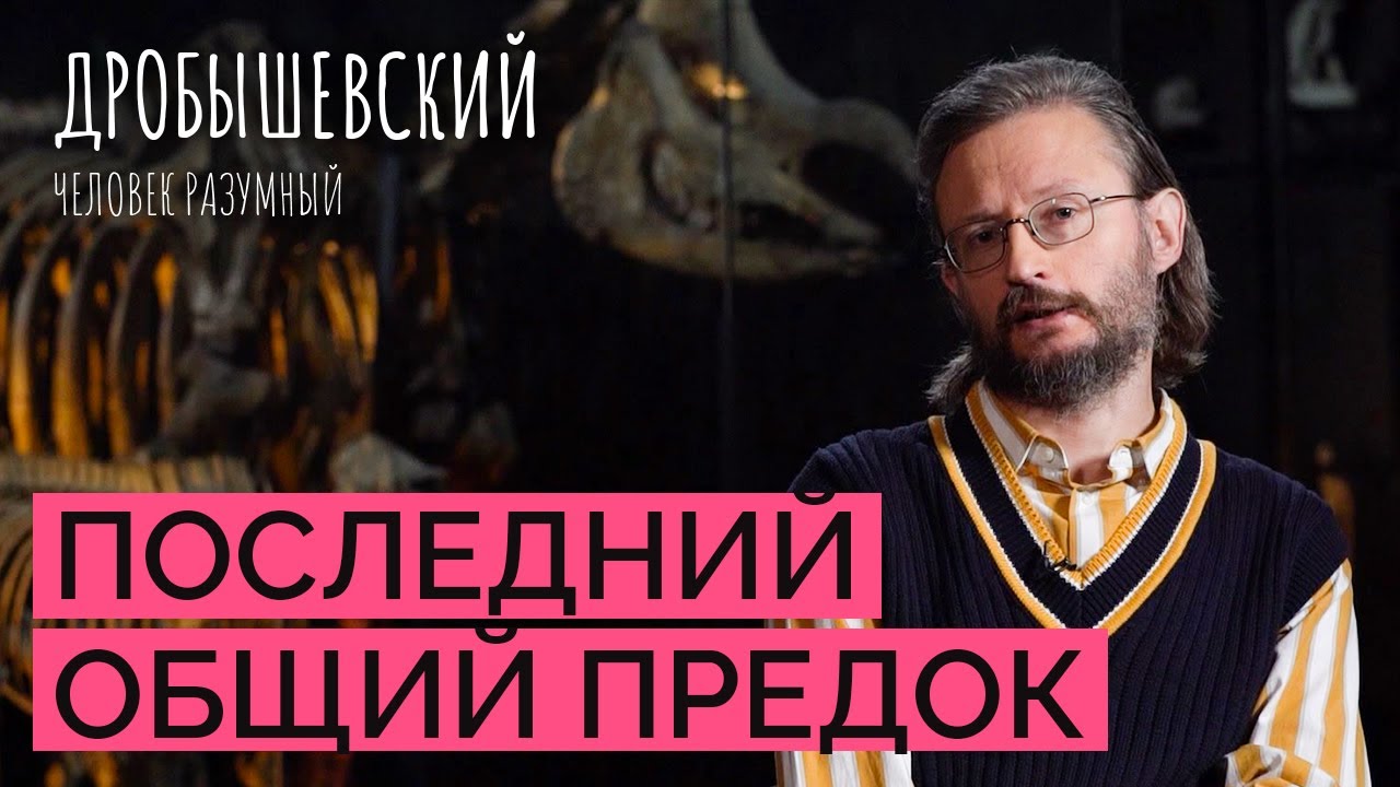 Родня человека от моллюсков до сапиенсов: как понять, что такое &laquo;общие предки&raquo;?