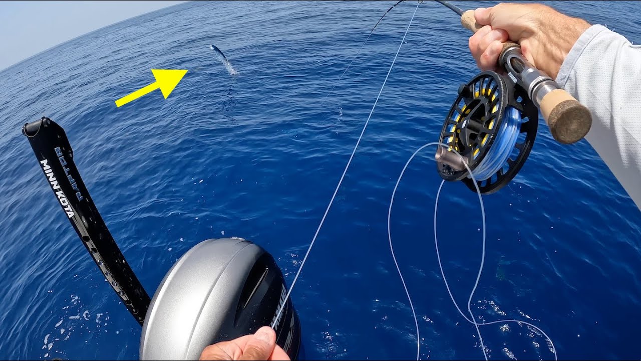 Mahi on Fly and Kingfish Offshore Redfisher 16 Part 2