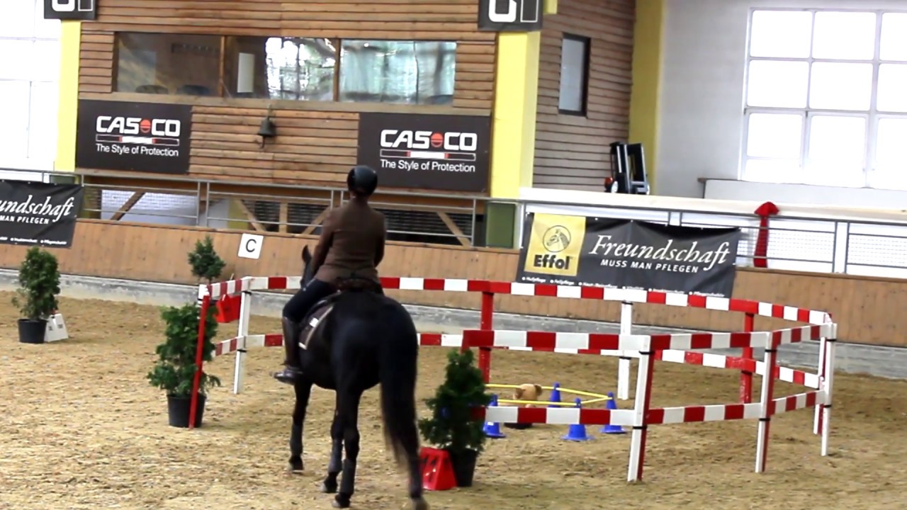 STILTRAIL Klasse M, Working Equitation Turnier in Stadl-Paura