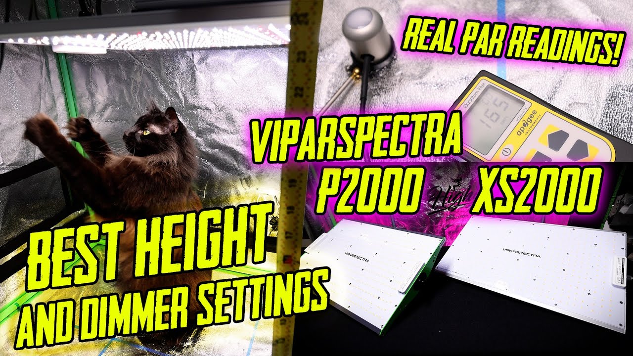 Viparspectra XS2000, P2000 Best Height / Dimmer Settings! Real PAR Readings!