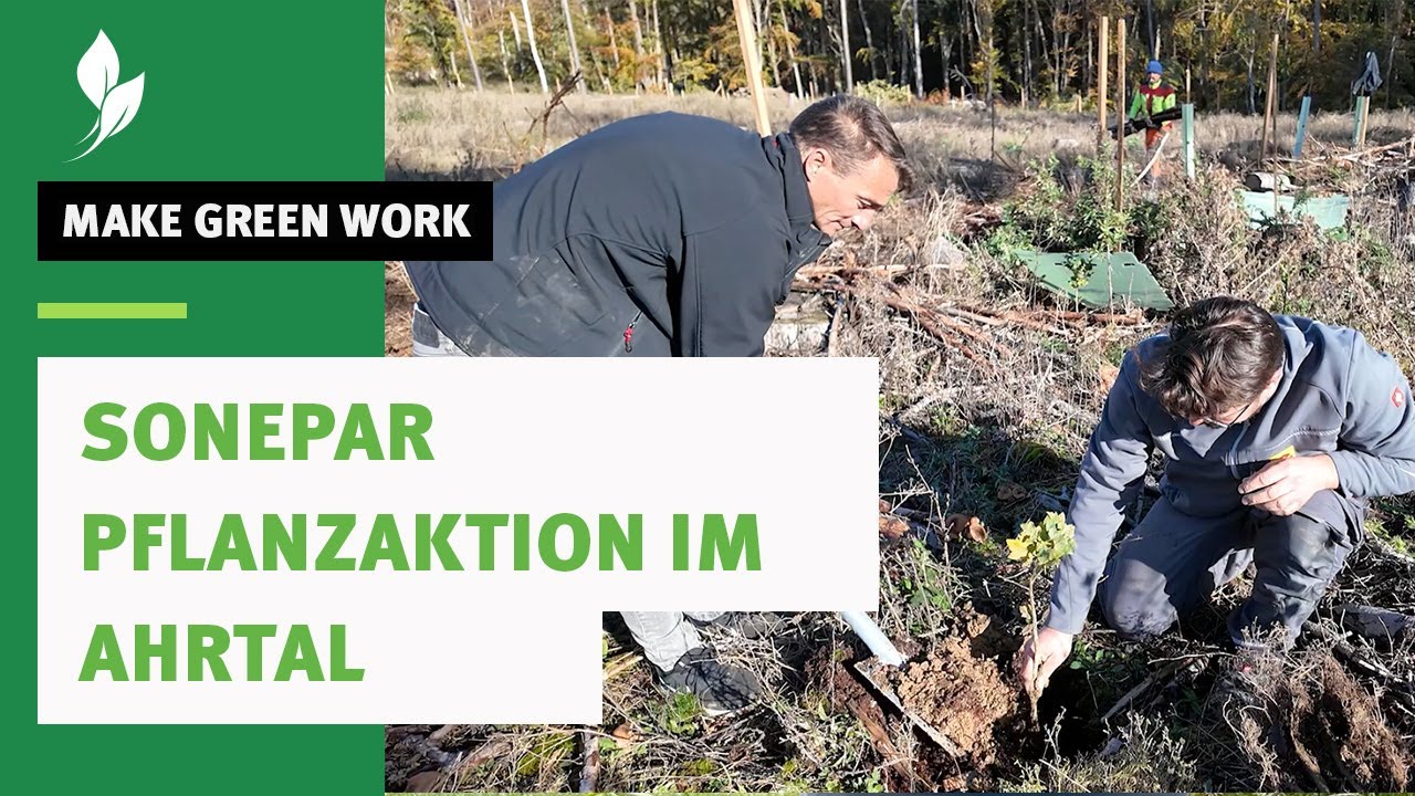 🌲🌿 Auf zur Wiederaufforstung des Waldes in Bad Neuenahr! 🌳🌱