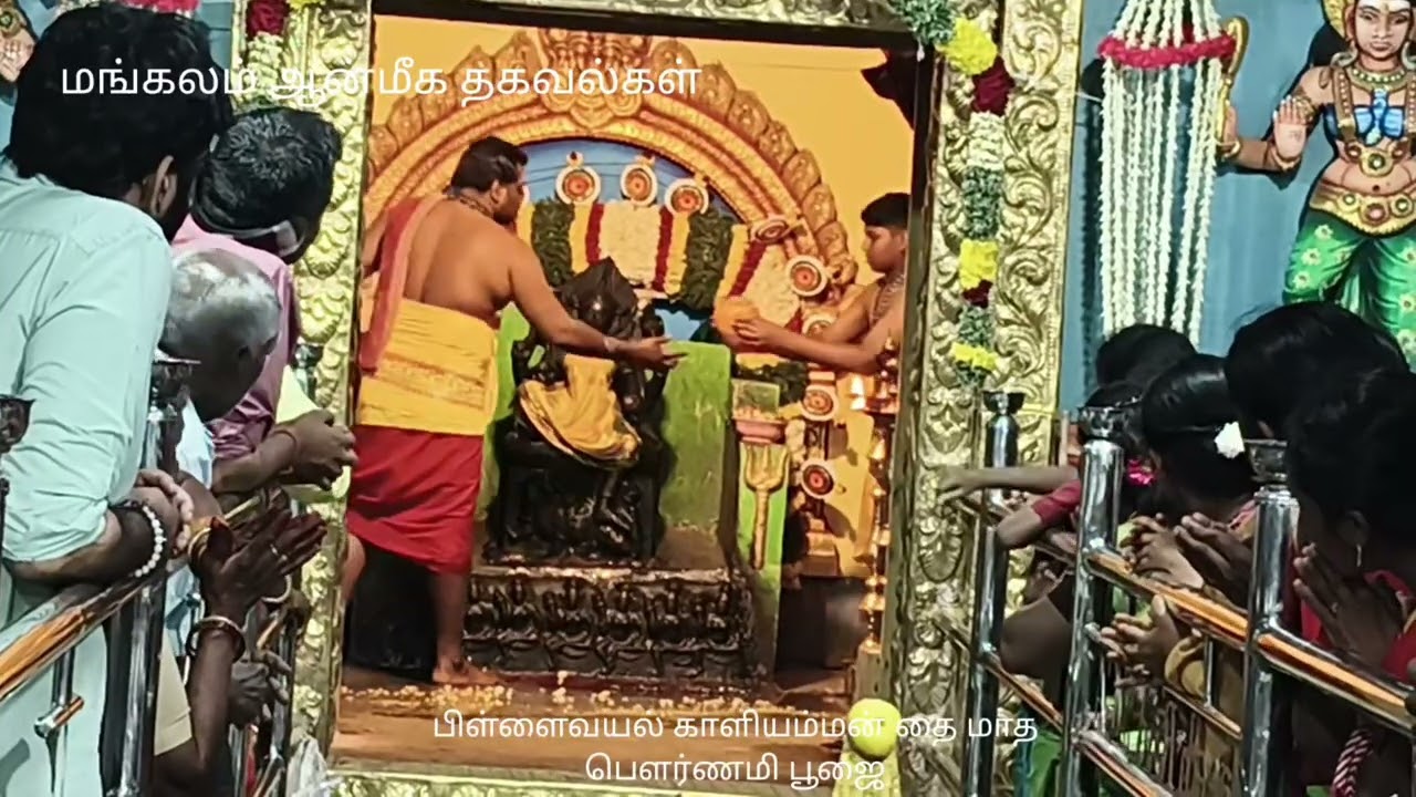 தை மாதம் பெளர்ணமி பூஜை ஸ்ரீ பிள்ளைவயல் காளியம்மன் கோவில் சிவகங்கை 
