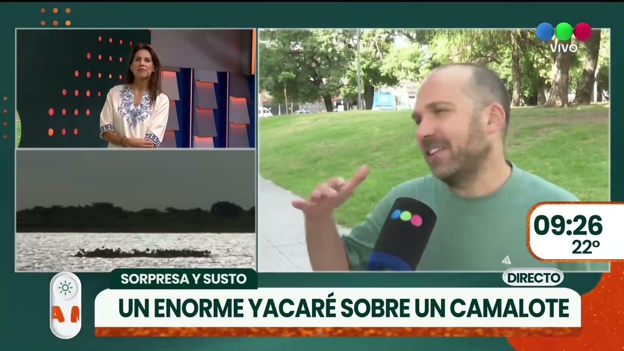 Sorpresa y susto por la aparición de un Yacaré | TELEFE ROSARIO