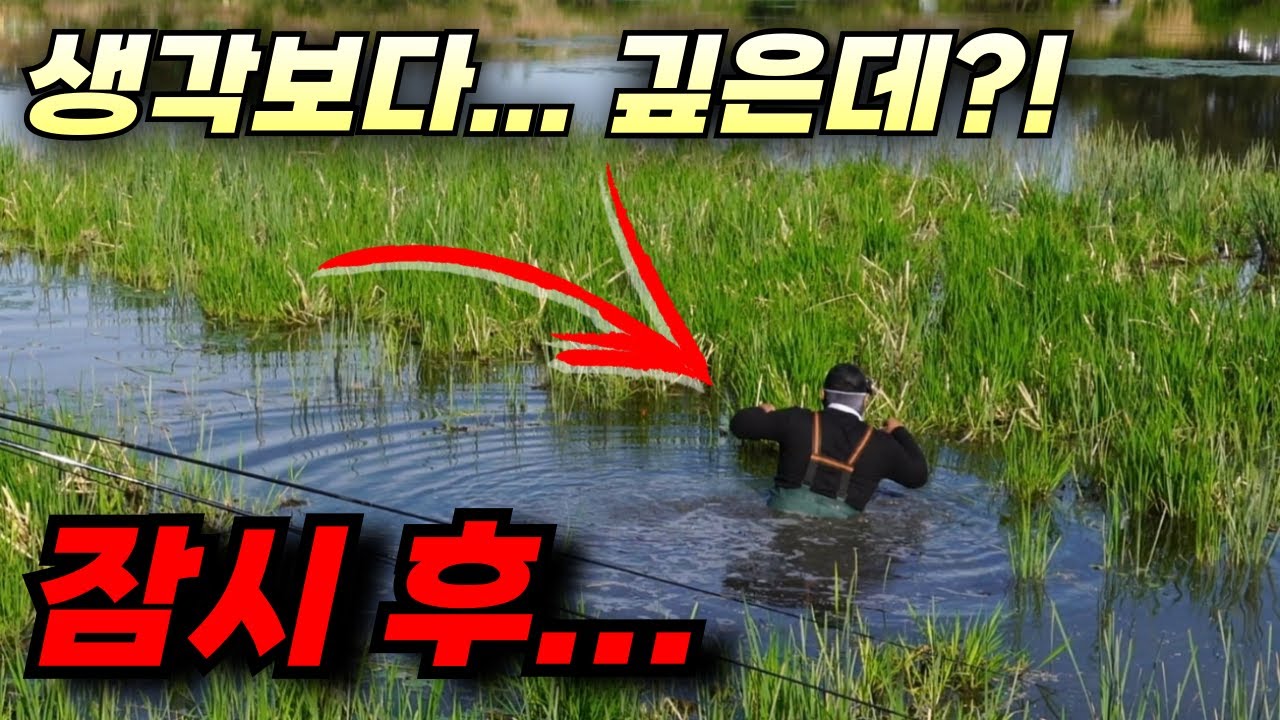 시간을 되돌릴 수 있다면 이러지 않을 겁니다 / 의성 붕어낚시 / 보통의존재 카페 정기모임