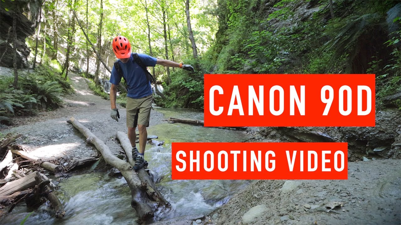Canon 90D для видеосъемки. Стоит ли обновлять Canon 80D?