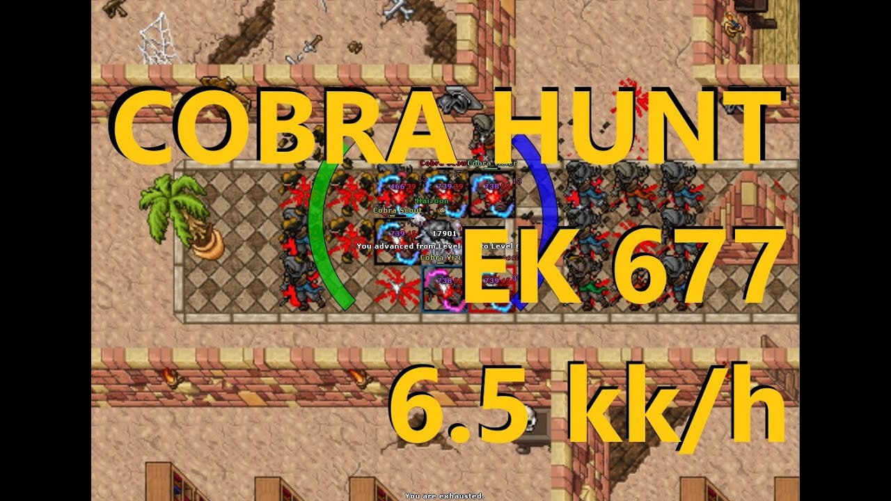 EK 677 Hunt Solo Cobra Bastion 6.5kk/h Raw - Peak 7.2kk/h - Tibia Haizoon