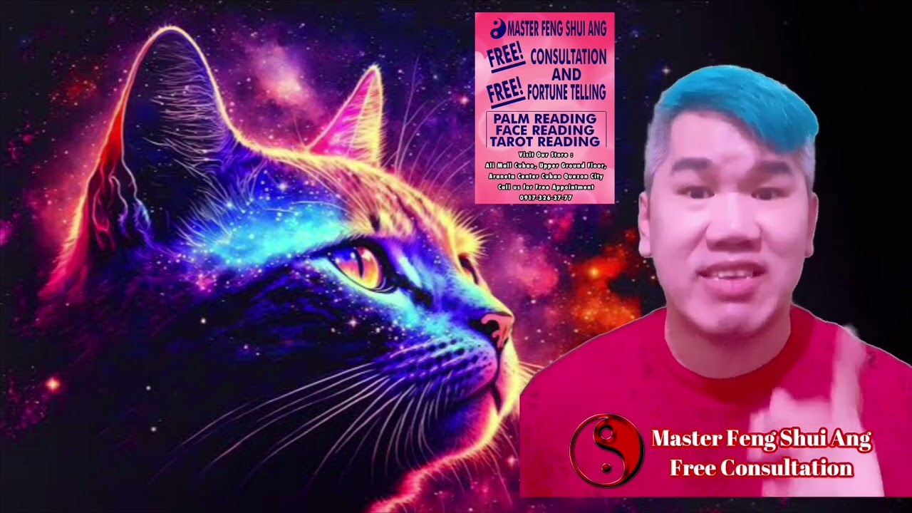 Ang Pusa Ay May Hatid Na Swerte At Nagtataboy Ng Malas