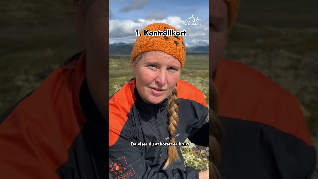 Dette må en reinsjeger ha kontroll på