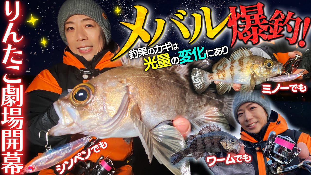 【メバル爆釣！】りんたこ劇場開幕！釣果のカギは光量の変化にあり！