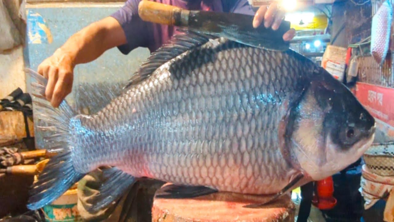 Incredible Giant Katla Carp Fish Cutting Skills In Bangladesh Fish Market | Fish Cutting ASMR