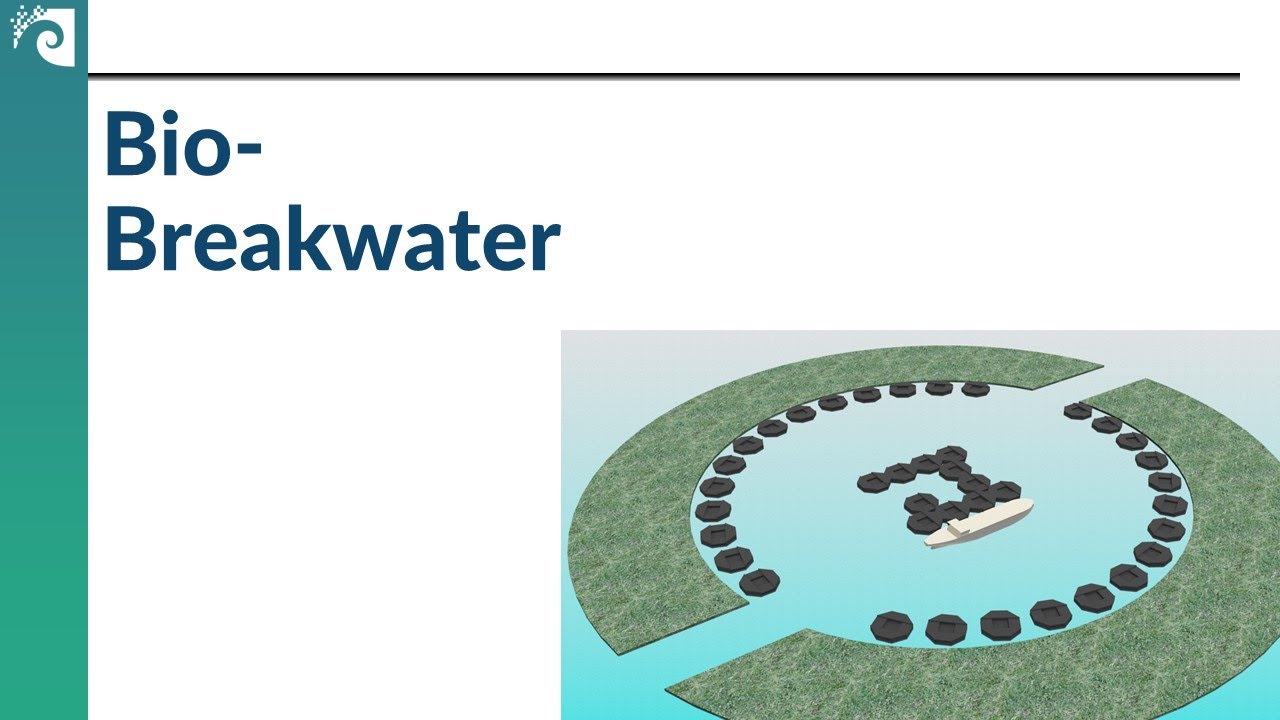 Stop the Waves with Plants!:  Seasteading Breakwater Design