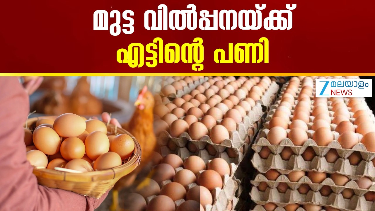 Expiry Date on Eggs |  മുട്ട വിൽപ്പനയ്ക്ക് എട്ടിന്റെ പണി