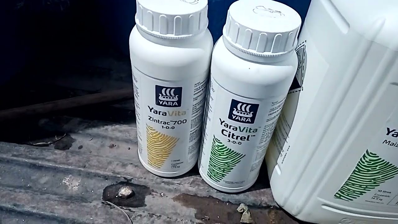 primera aplicación de foliar de Yara. Yara vita citrel, Yara vita zintrac 700 maize boost y clavis