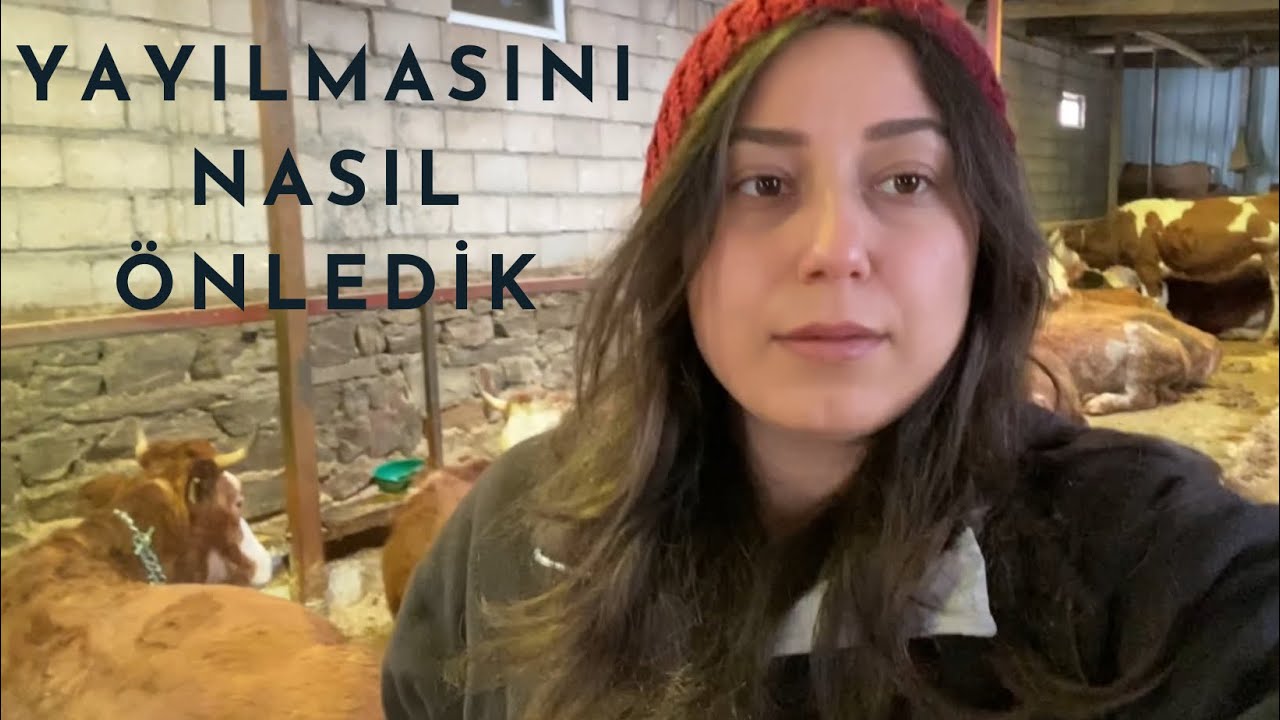 ŞAP ( DABAK ) HASTALIĞINDA EK TEDAVİ OLARAK NELER UYGULADIK / HASTA SAYISI ARTMAMASI İÇİN ÖNLEMLER
