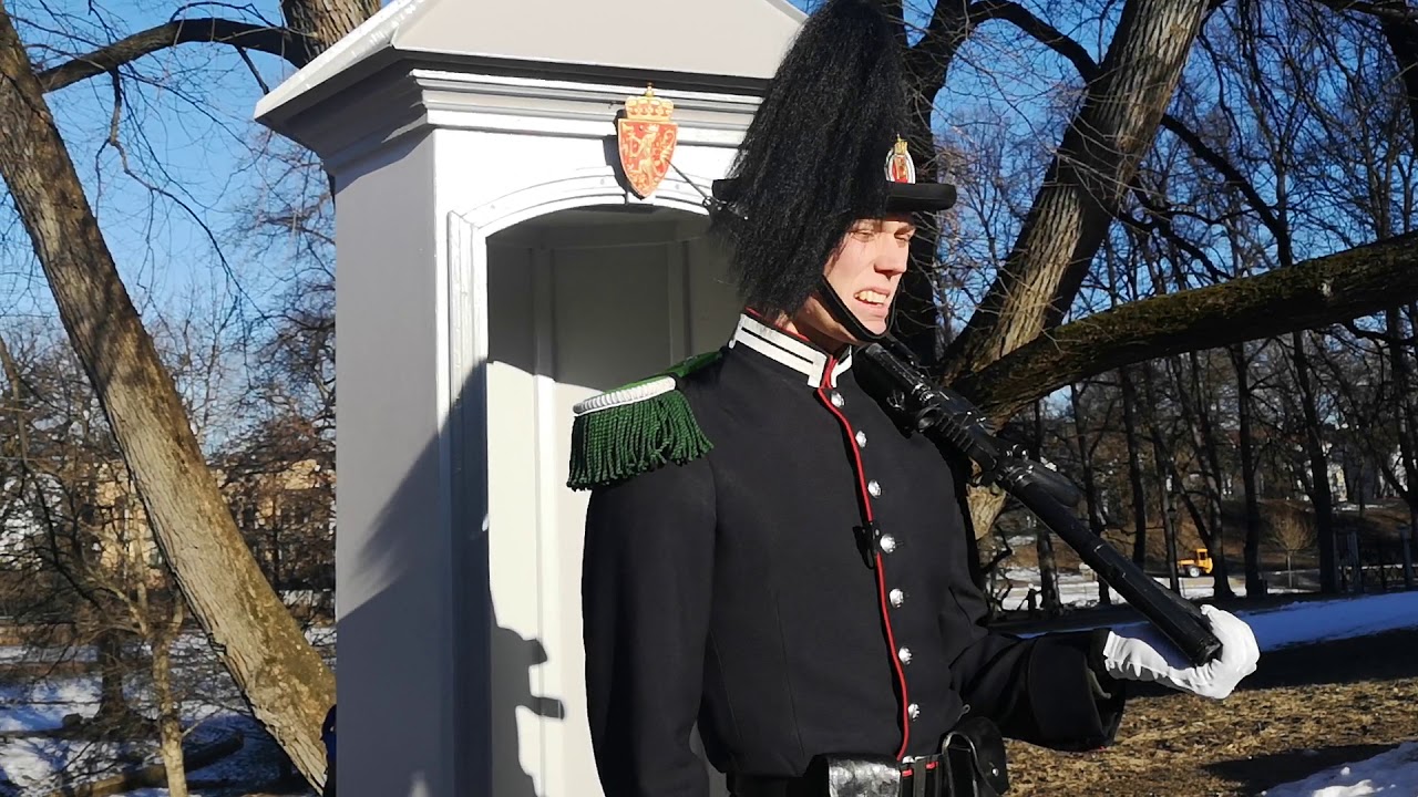 FRIENDLY ROYAL NORWEGIAN  GUARD, 🇳🇴