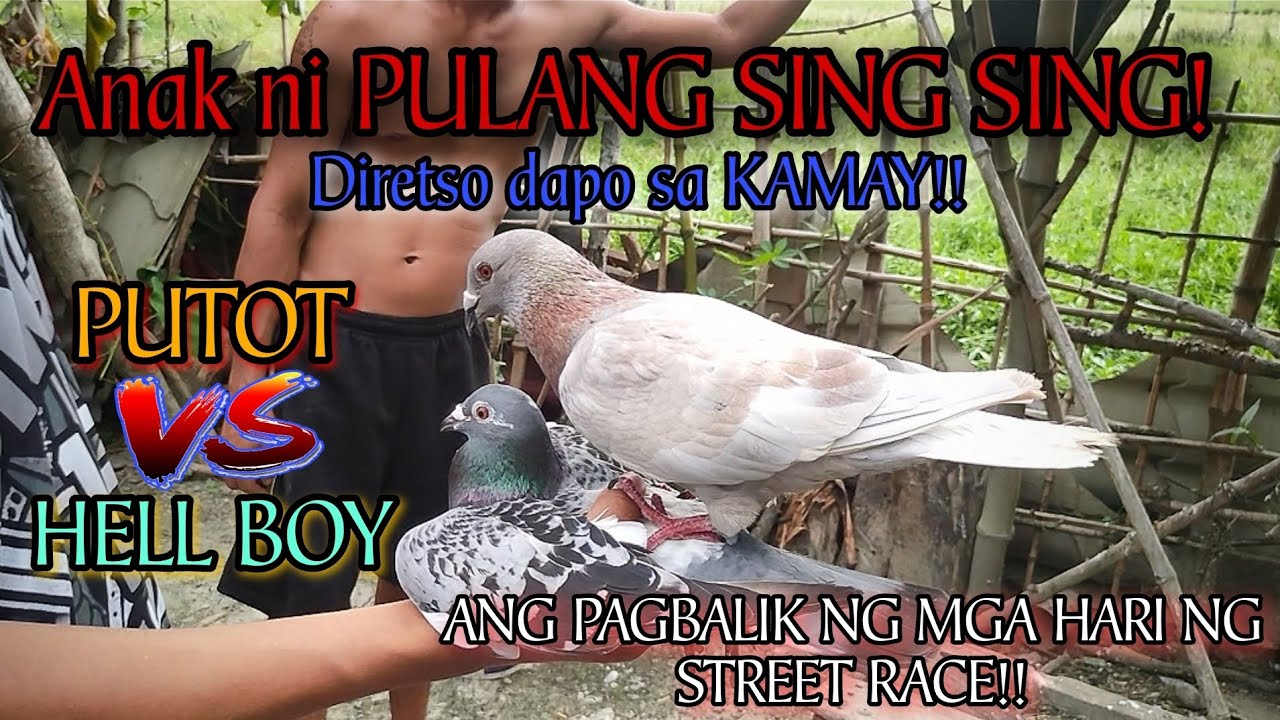 ANAK NI PULANG SING SING, ANG PAG BABALIK!!  | PUTOT VS HELLBOY | @GWAPSTVOFFICIAL