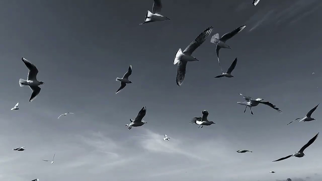 20260222