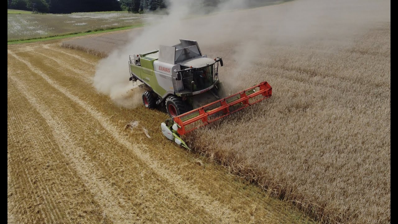 Getreide Ernte 2021 | Roggen Dreschen mit Claas Lexion 740