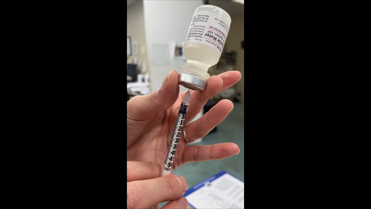 How To Give Your Pet an Insulin Injection with Simba