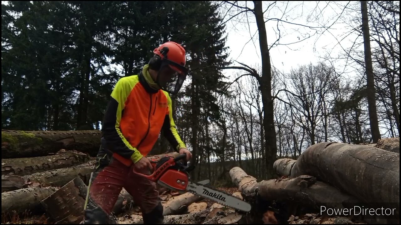 Buchen-Holzpolter ablängen mit Dolmar PS420-C
